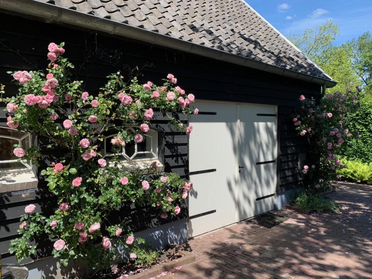 De Porrel Polsbroek Unit Met Prive Jacuzzi, Spa En Sauna Exterior photo